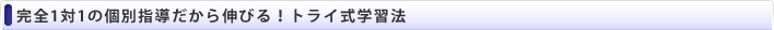 ���S1��1�̌ʎw��������L�т�I�g���C���w�K�@