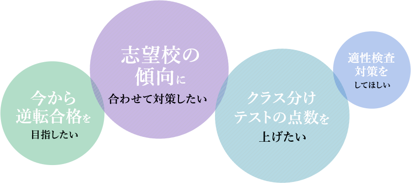 今から逆転合格を目指したい 志望校の傾向に合わせて対策したい クラス分けテストの点数を上げたい 適性検査対策をしてほしい