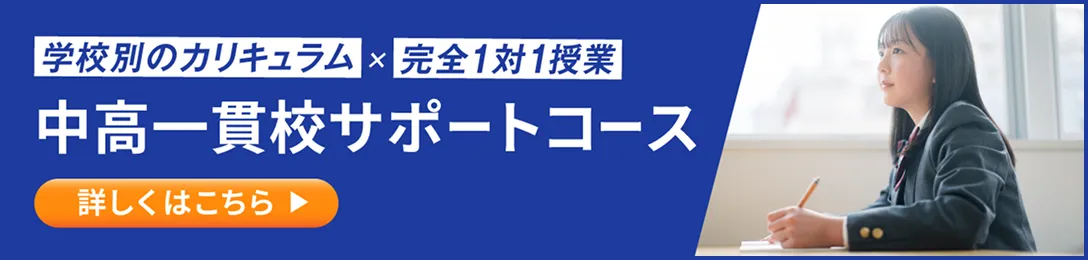 学校別のカリキュラムx完全1対1授業 中高一貫校サポートコース 詳しくはこちら