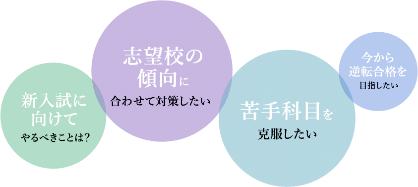 新入試に向けてやるべきことは? 志望校の傾向に合わせて対策したい 苦手科目を克服したい 今から逆転合格を目指したい