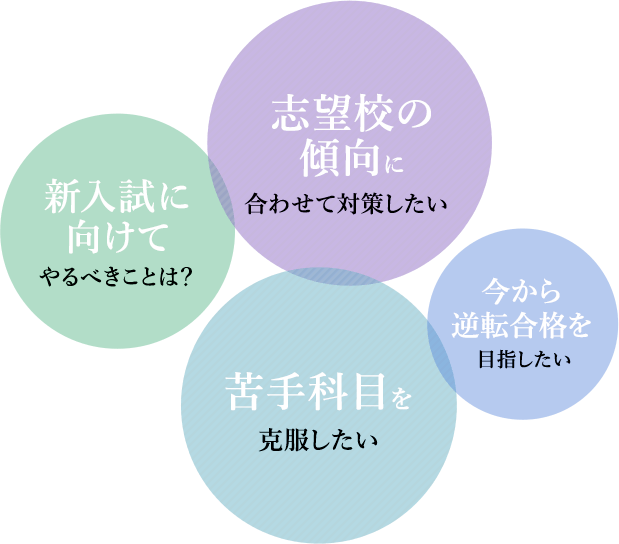 大学受験対策 高校生向け個別指導コース 個別教室のトライ