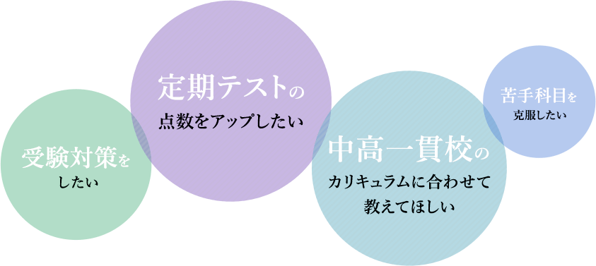 受験対策をしたい 定期テストの点数をアップしたい 中高一貫校のカリキュラムに合わせて教えてほしい 苦手科目を克服したい