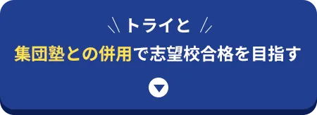 トライと集団塾との併用で志望校合格を目指す