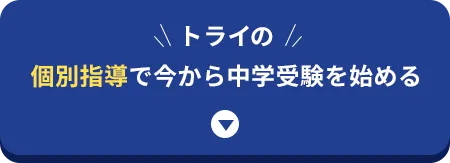 トライの個別指導で今から中学受験を始める