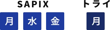 SAPIX：月・水・金、トライ：月