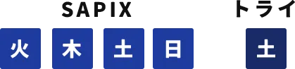 SAPIX：火・木・土・日、トライ：土