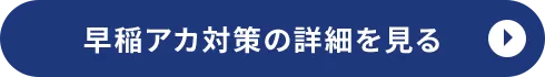 早稲田アカデミー対策の詳細を見る