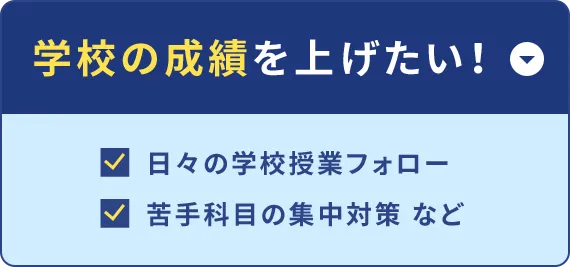 学校の成績を上げたい！ 日々の学校授業フォロー 苦手科目の集中対策 など