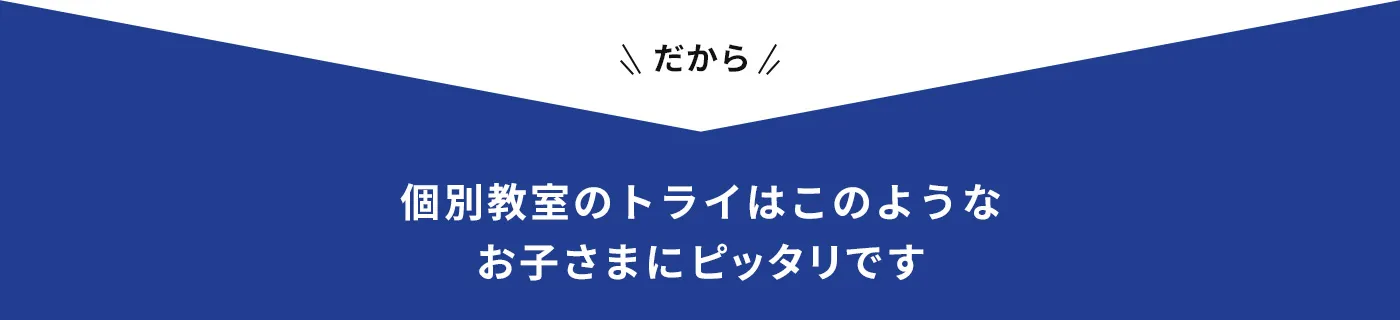 だから 個別教室のトライはこのようなお子さまにピッタリです