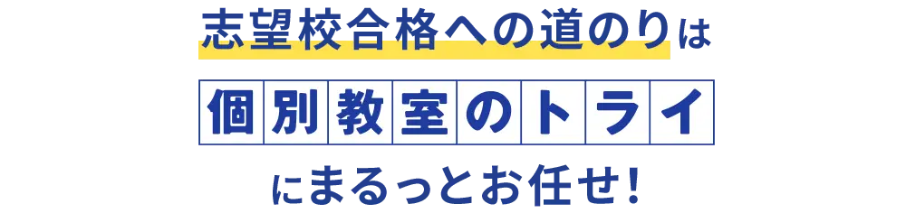 志望校合格への道のりは個別教室のトライにまるっとお任せ！