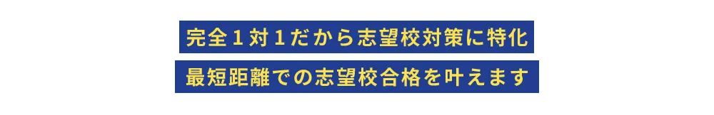 完全1対1だから志望校対策に特化 最短距離での志望校合格を叶えます