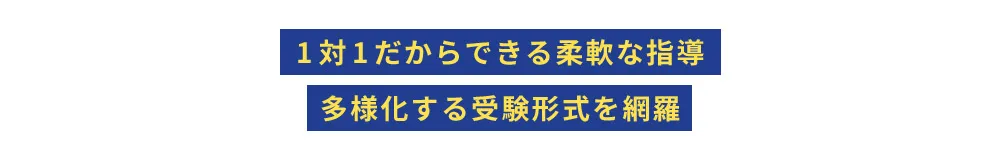 1対1だからできる柔軟な指導 多様化する受験形式を網羅