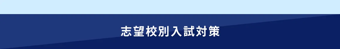 志望校別入試対策