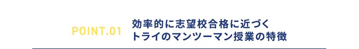 POINT.01 効率的に志望校合格に近づくトライのマンツーマン授業の特徴