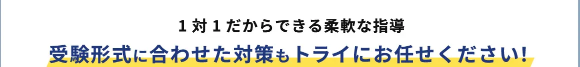 1対1だからできる柔軟な指導 受験形式に合わせた対策もトライにお任せください！