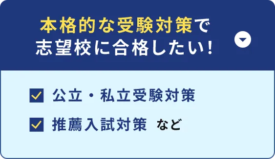 本格的な受験対策で志望校に合格したい！ 公立・私立受験対策 推薦入試対策 など