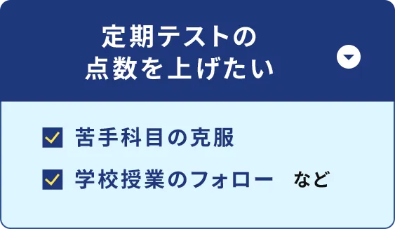 定期テストの点数を上げたい 苦手科目の克服 学校授業のフォロー など