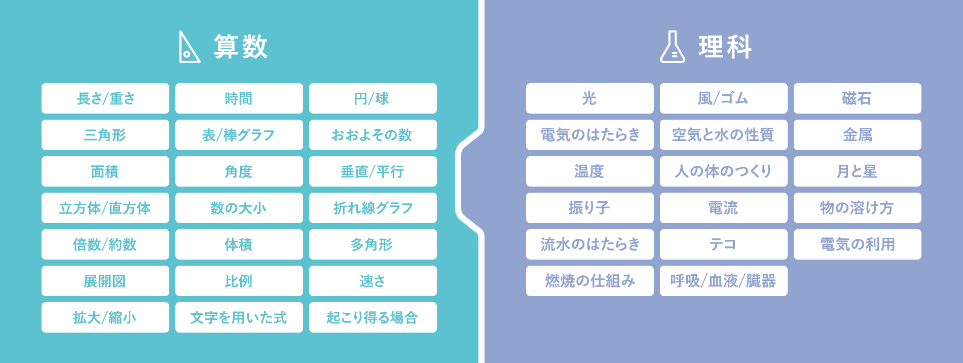 算数:
                    長さ/重さ
                    時間
                    円/球
                    三角形
                    表/棒グラフ
                    おおよその数
                    面積
                    角度
                    垂直/平行
                    立方体/直方体
                    数の大小
                    折れ線グラフ
                    倍数/約数
                    体積
                    多角形
                    展開図
                    比例
                    速さ
                    拡大/縮小
                    文字を用いた式
                    起こり得る場合

                    理科:
                    光
                    風/ゴム
                    磁石
                    電気のはたらき
                    空気と水の性質
                    金属
                    温度
                    人の体のつくり
                    月と星
                    振り子
                    電流
                    物の溶け方
                    流水のはたらき
                    テコ
                    電気の利用
                    燃焼の仕組み
                    呼吸/血液/臓器
                    