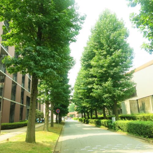 総合型選抜とは？AO入試との違いや選考の仕組みを徹底解説！