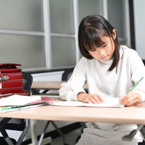 【2025年最新】開智所沢​​中等教育学校の偏差値はどれくらい？難易度と対策を解説