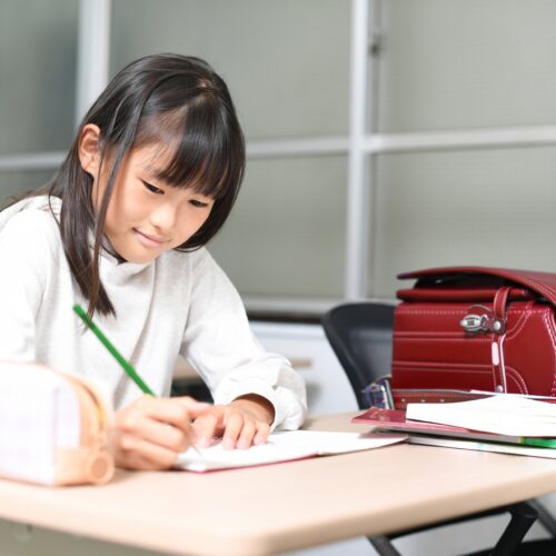 【2025年最新】佼成学園中学校の進学実績はどうなっている？進学先や学習環境を解説