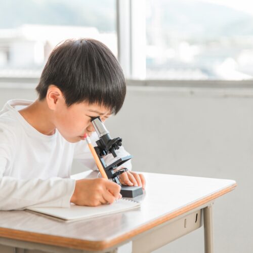 中学受験理科の勉強法を徹底解説！苦手を克服して効果的な対策を