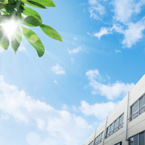 【2025年最新】高輪中学校の進学実績はどうなっている？進学先や学習環境を解説