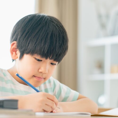 中学受験の併願パターン完全ガイド｜本命校・チャレンジ校・安全校（お守り校）の組み方と日程戦略を徹底解説！​