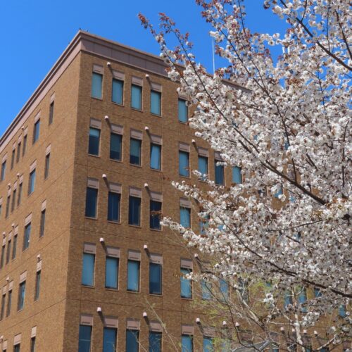 関関同立とは？受験生が知っておくべき4大学の魅力・難易度・対策を徹底解説