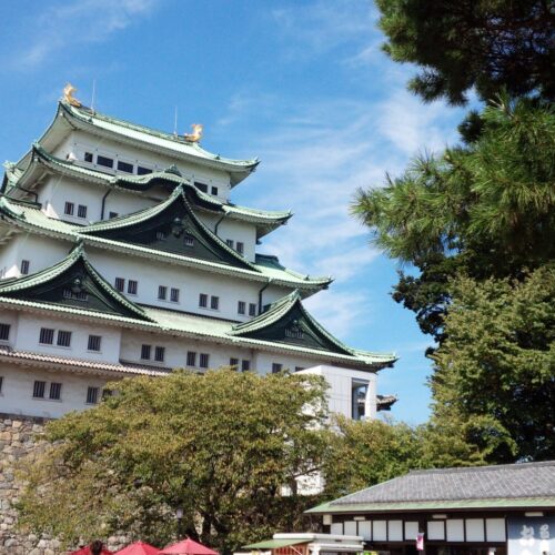 愛愛名中とは？偏差値・就職から見る東海地方で人気の中堅私立大学の魅力と特徴