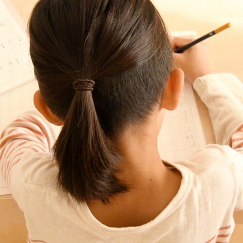 【2025年最新】 開智中学校の偏差値は？難易度や出題傾向｜進学実績も解説