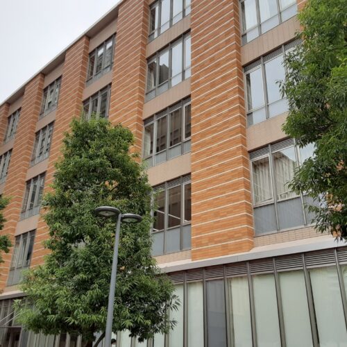 志望校の決め方を徹底解説｜後悔しない大学選びの８つのポイント