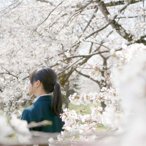 【2026年最新】南山中学校女子部の偏差値と入試対策ガイド！最新の進学実績も紹介