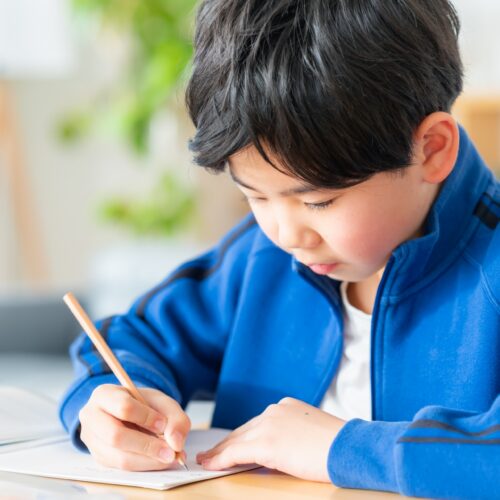 【2026年最新版】中学受験の塾比較｜集団塾・個別指導塾のタイプ別特徴と失敗しない選び方を解説