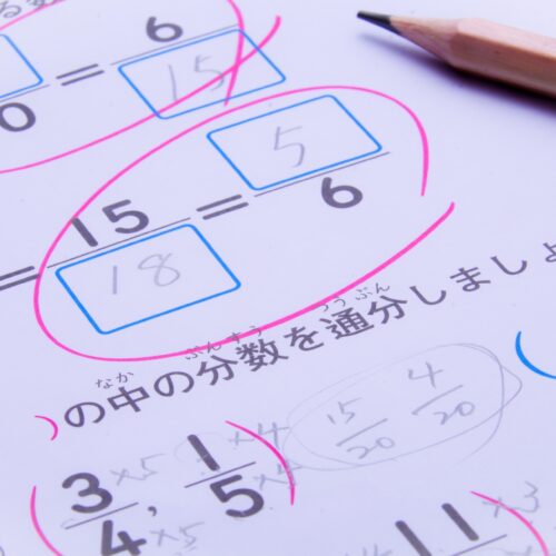 SAPIX（サピックス）の算数が難しい…原因と対処法を解説！個別指導との併用も