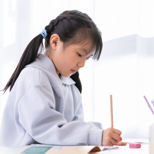 中学受験は塾なしでも大丈夫？家庭でできる勉強法と合格が難しい理由・対策を解説