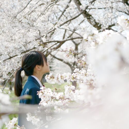 【中学受験】帰国子女の受験対策は難しい？帰国子女枠の条件・学校選び・準備のポイント