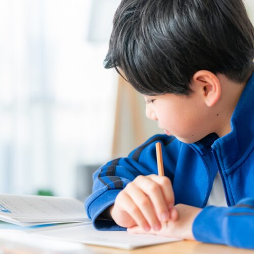 【2026年最新】早稲田中学校の偏差値は？入試情報・向いている子の特徴と受験対策を解説