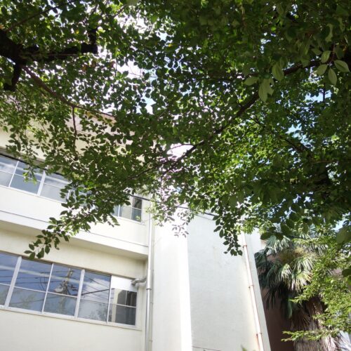 【2026年開校】羽田国際中学校の偏差値予想と合格倍率｜入試情報・受験対策を徹底解説