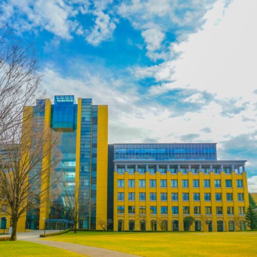 【2026年最新】青山学院大学の学部別偏差値ランキング一覧｜難易度と入試対策を解説