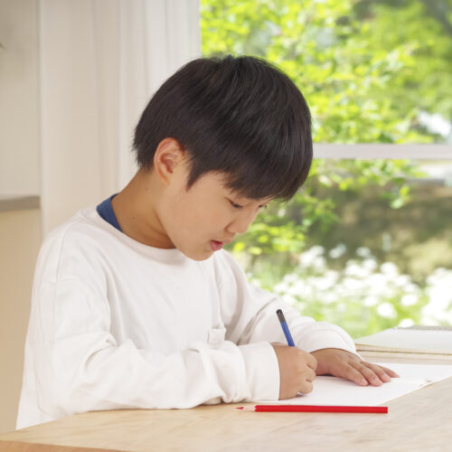 【2026年最新】芝中学校の偏差値と倍率は？受験対策から進学実績まで解説