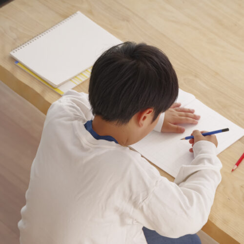 【2026年最新】サレジオ学院中学校の偏差値は？倍率・進学実績・受験対策まで解説