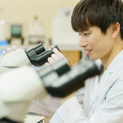 【2026年最新】東京科学大学の偏差値は？学部・学院別の難易度と合格対策