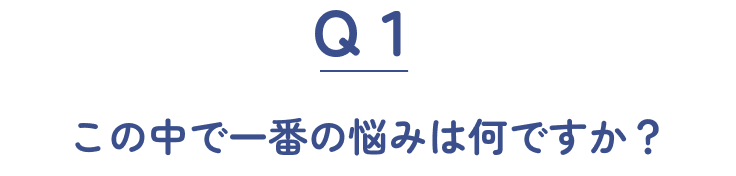 Q1 この中で一番の悩みは何ですか？